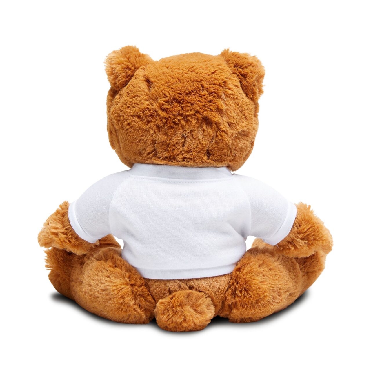 Teddy Bear with Gyp's Teddy T-Shirt - Image 4